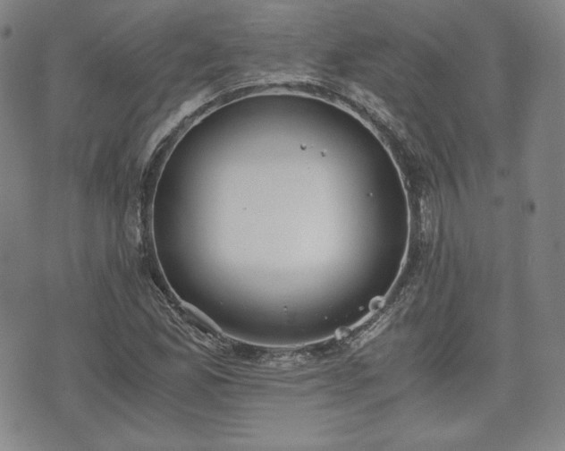 X0000073451165200608041020