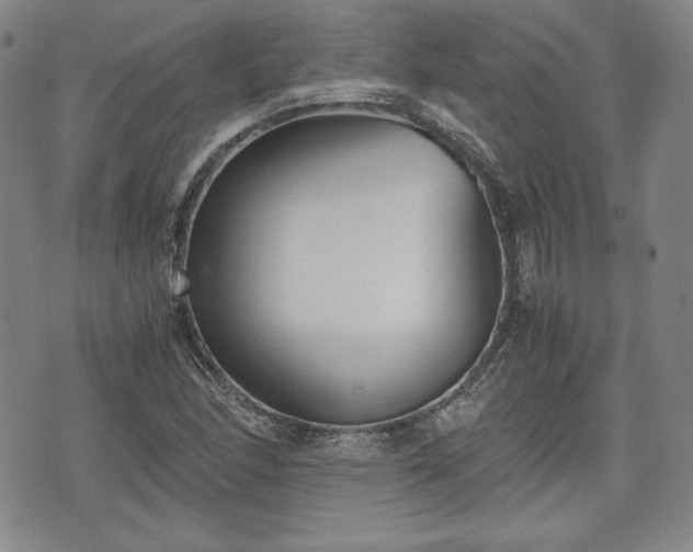 X0000073451166200608041020