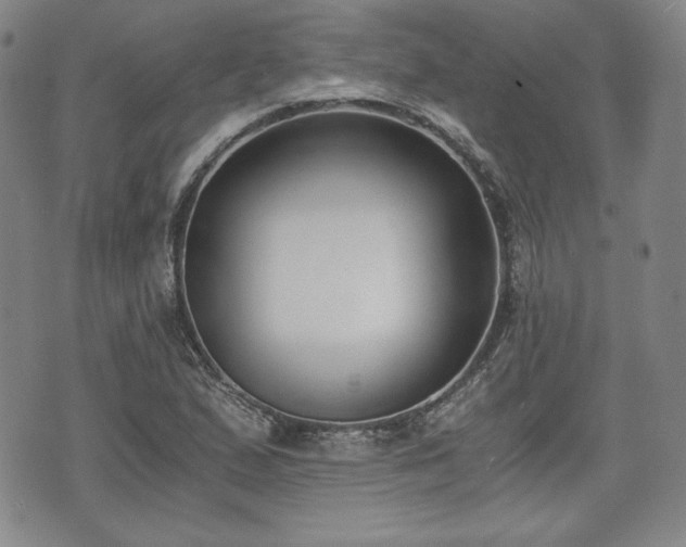 X0000073451167200608041020