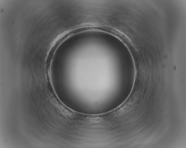 X0000073451168200608041020