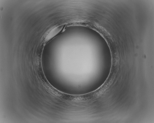 X0000073451169200608041020