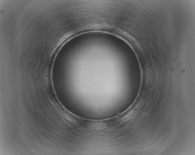 X0000073451170200608041020