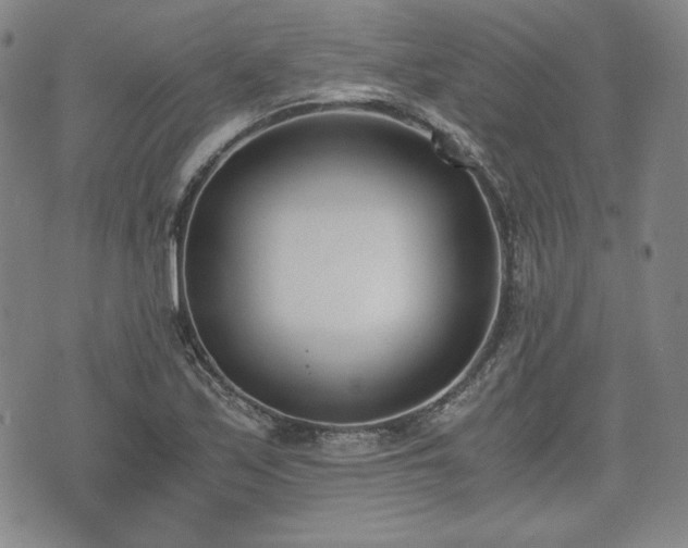 X0000073451171200608041020