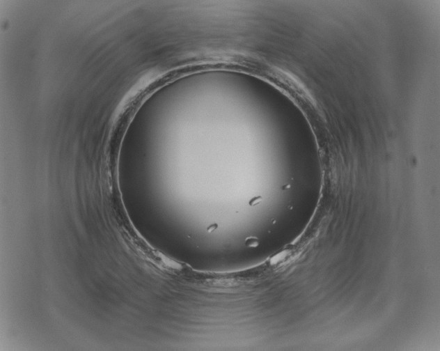 X0000073451172200608041020