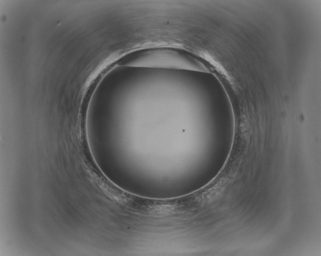 X0000073451173200608041020