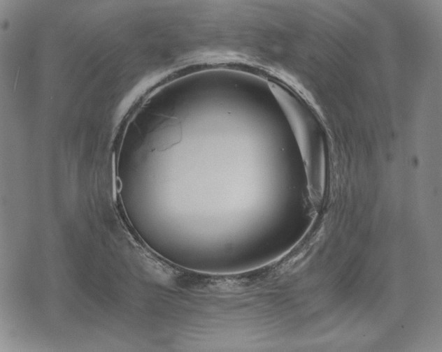 X0000073451175200608041020