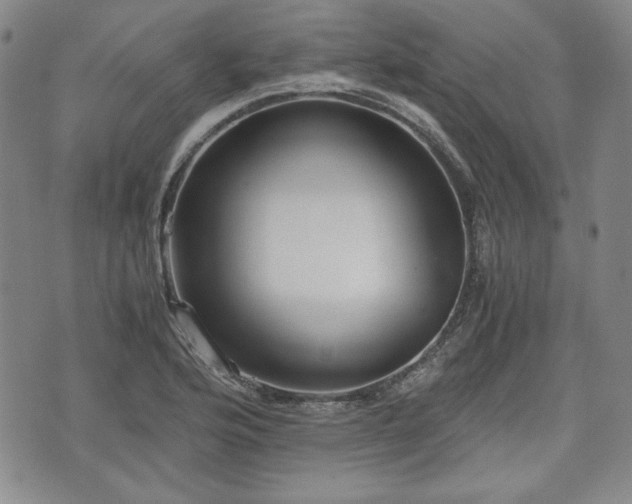 X0000073451176200608041020