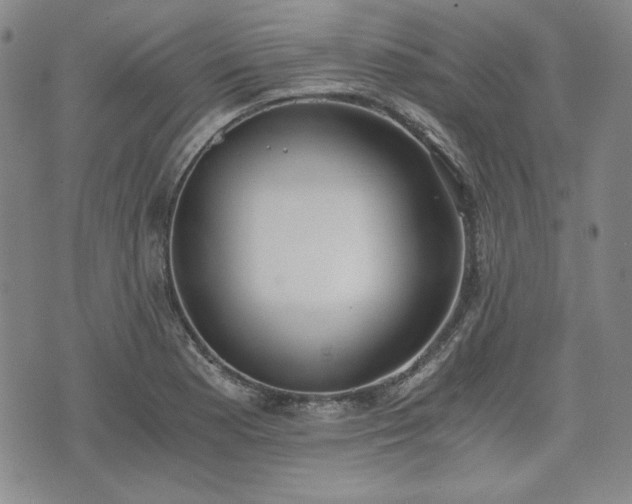 X0000073451177200608041020