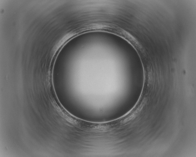 X0000073451178200608041020