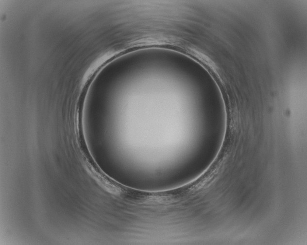 X0000073451179200608041020