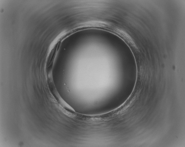 X0000073451180200608041020