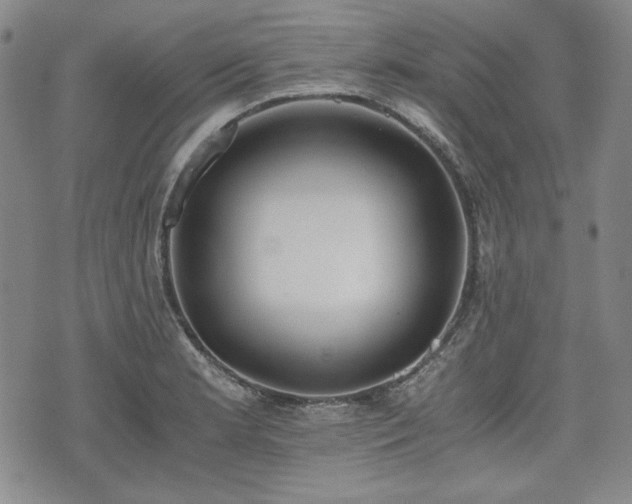 X0000073451181200608041020