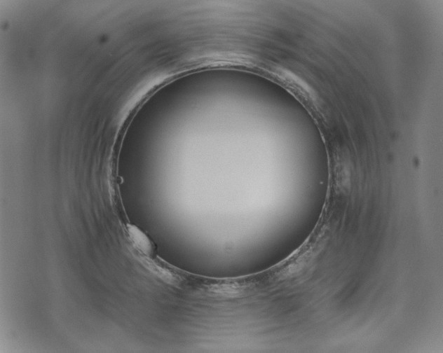 X0000073451182200608041020