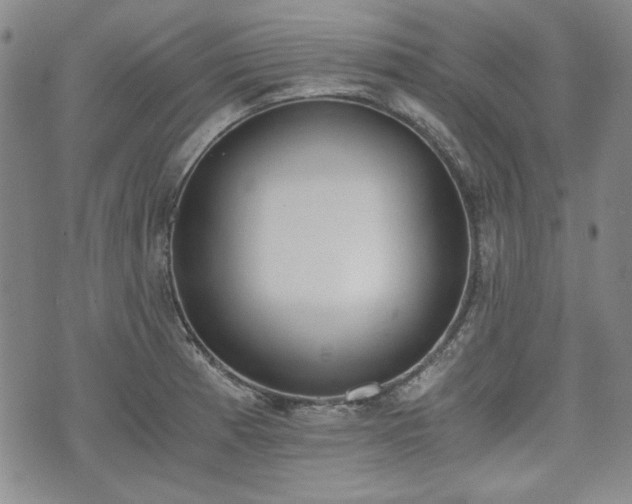 X0000073451185200608041020