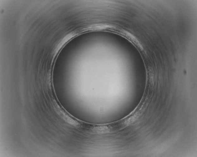 X0000073451186200608041020