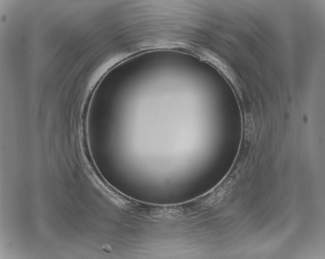 X0000073451187200608041020