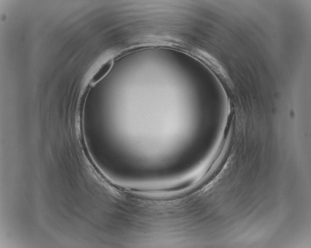 X0000073451188200608041020