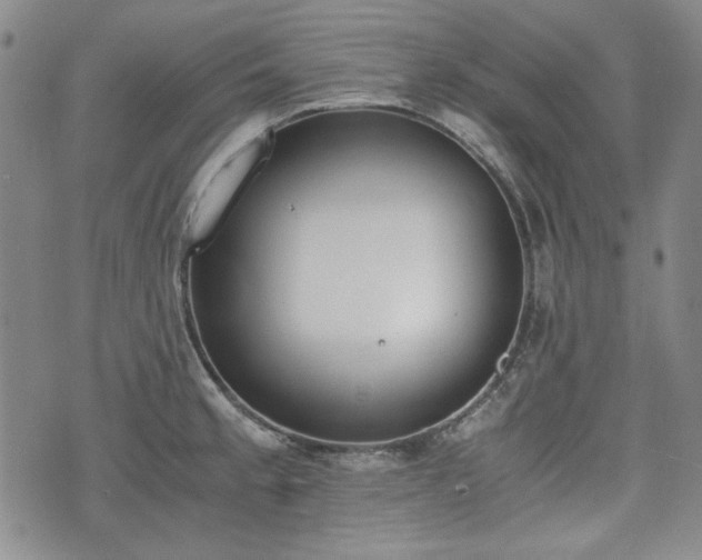 X0000073451189200608041020