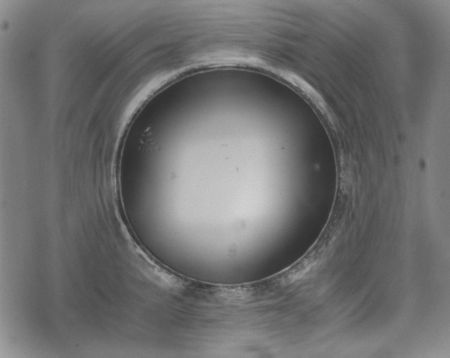 X0000073451191200608041020