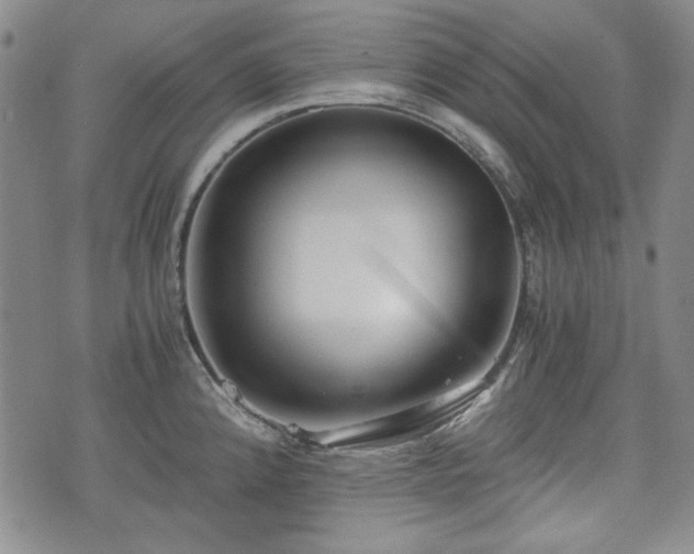 X0000073451192200608041020