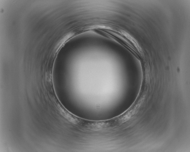 X0000073451193200608041020