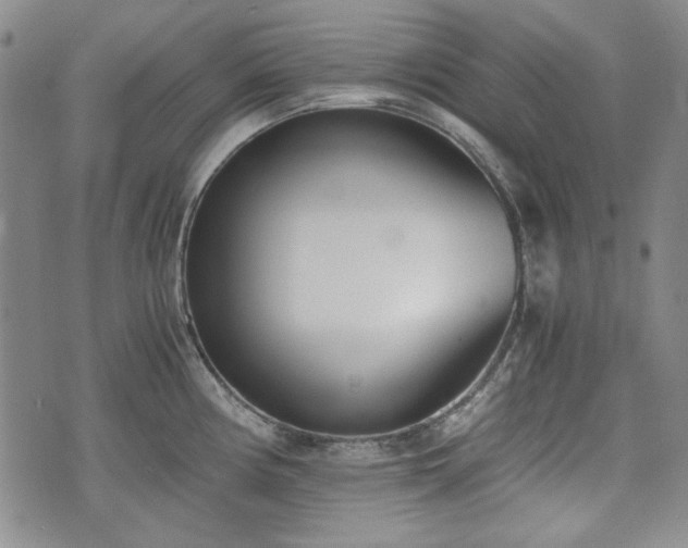 X0000073451194200608041020