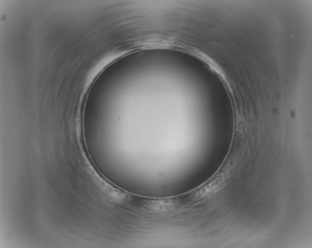 X0000073451195200608041020