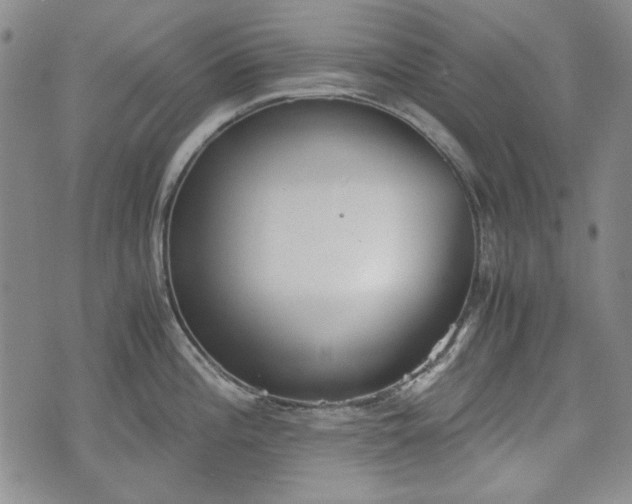 X0000073451196200608041020