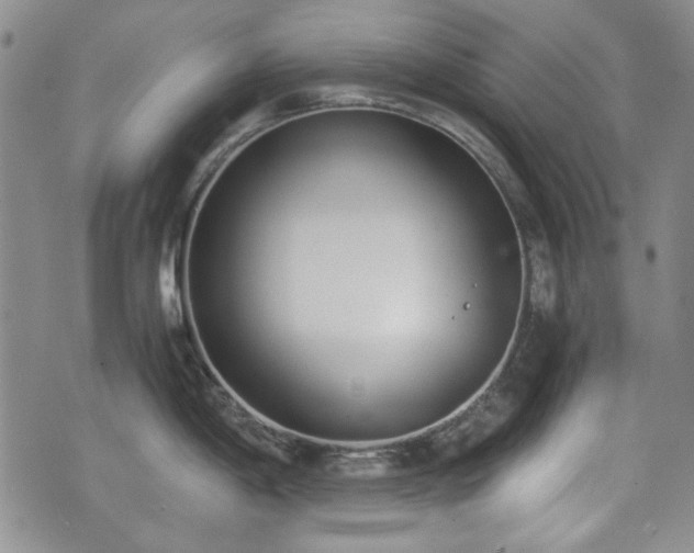 X0000073451198200608041020