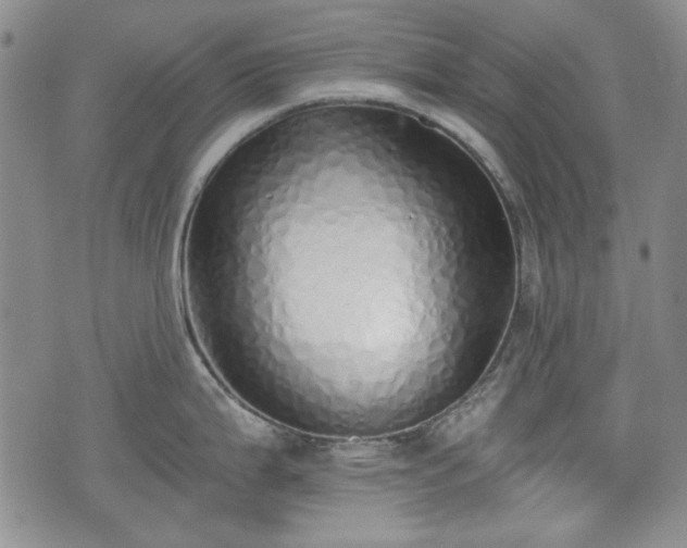 X0000073451199200608041020