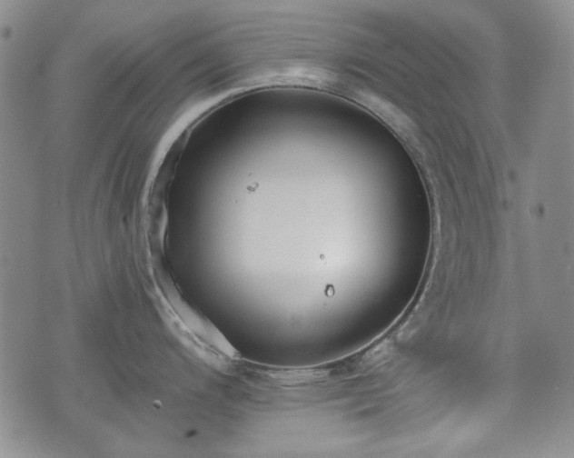 X0000073451200200608041020