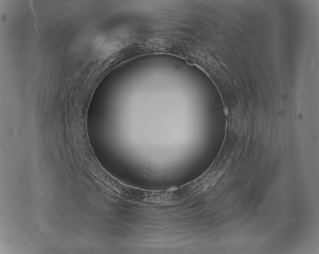 X0000073451201200608041019