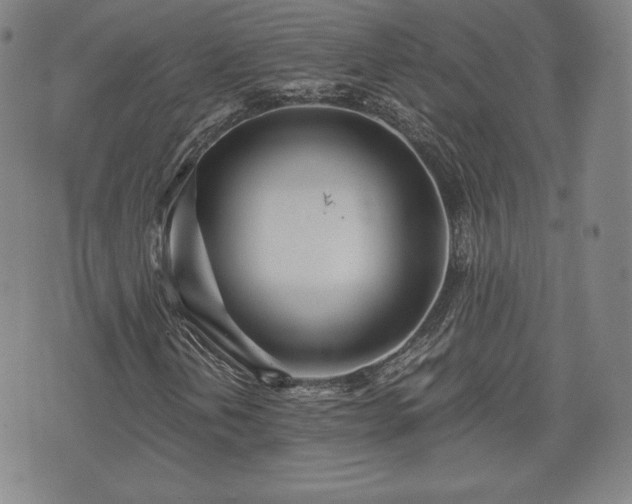 X0000073451202200608041019