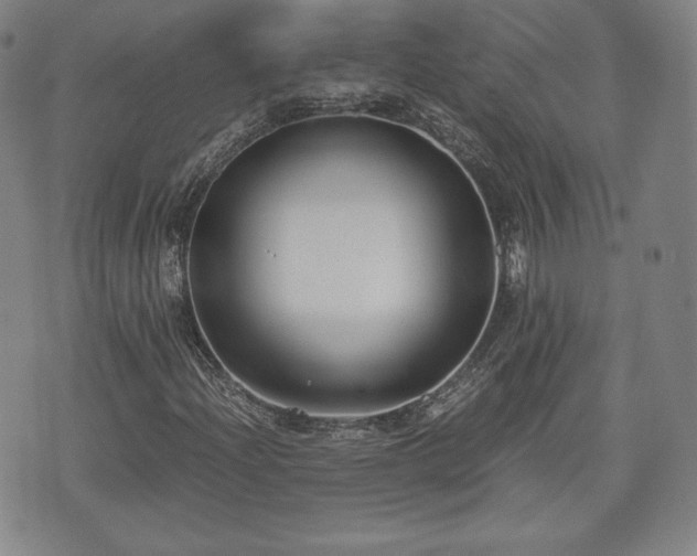 X0000073451204200608041019