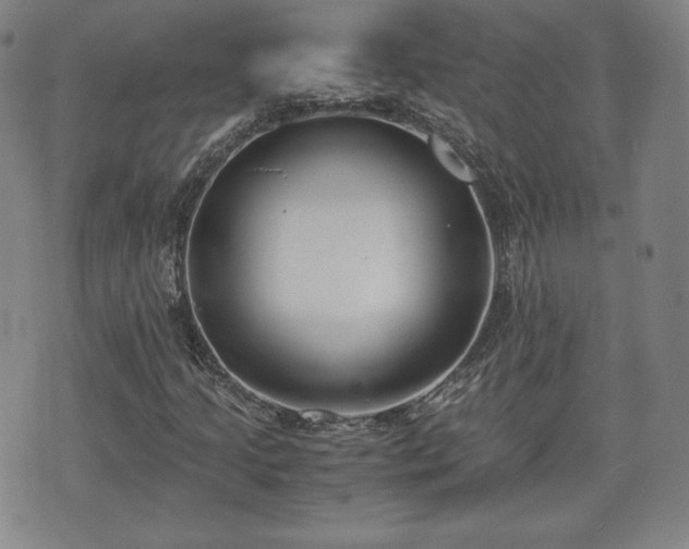 X0000073451205200608041019