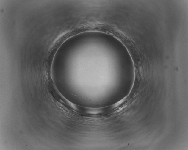 X0000073451206200608041019