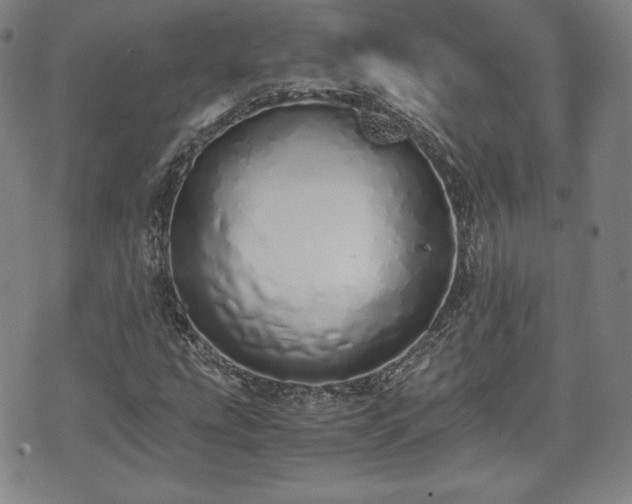 X0000073451207200608041019