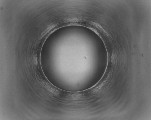 X0000073451209200608041019