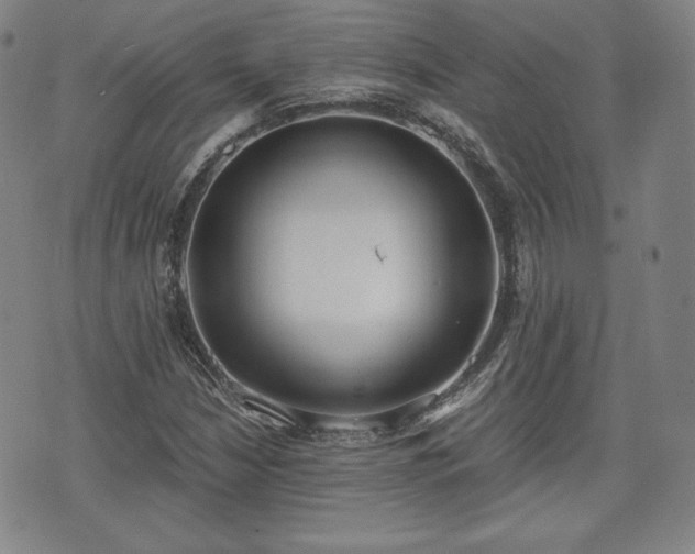 X0000073451210200608041019