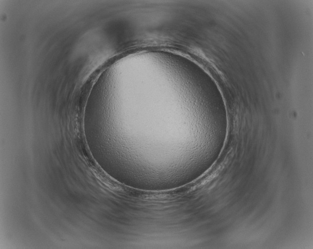 X0000073451211200608041019