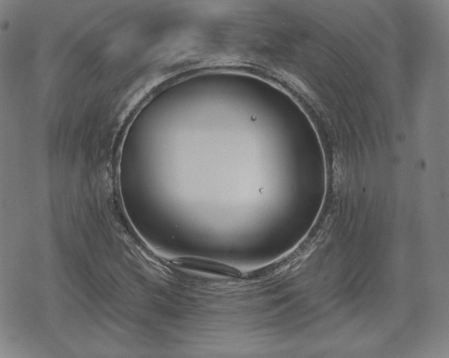 X0000073451212200608041019