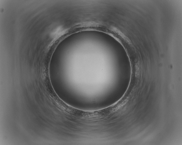 X0000073451213200608041019