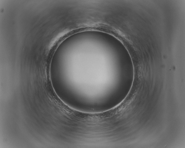 X0000073451214200608041019