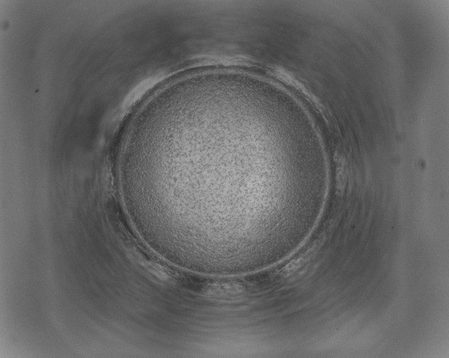 X0000073451215200608041019