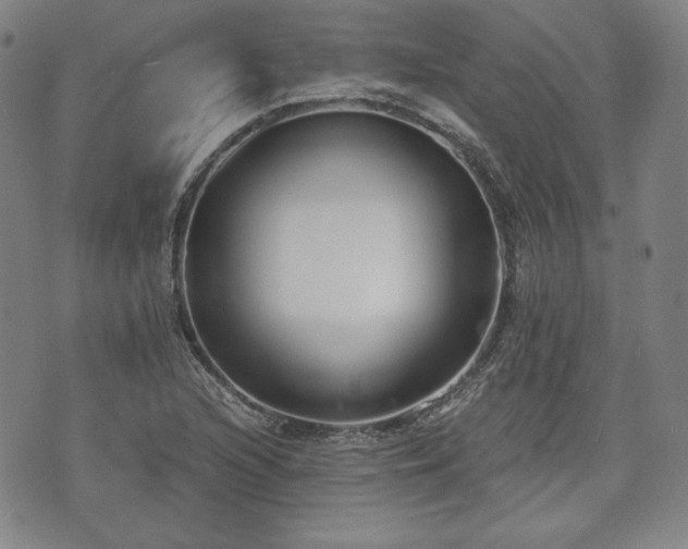 X0000073451216200608041019