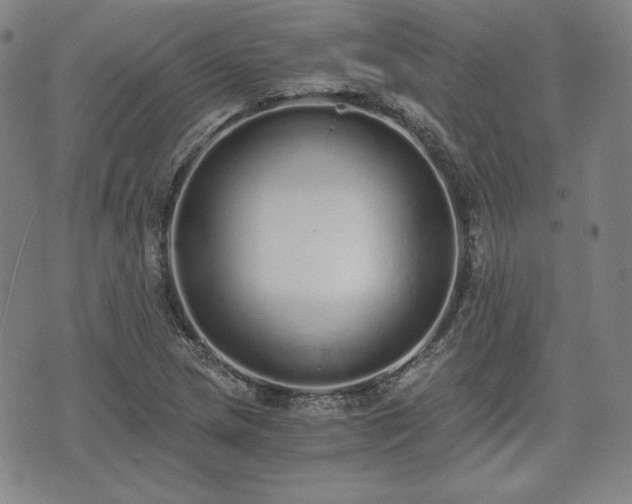 X0000073451217200608041019