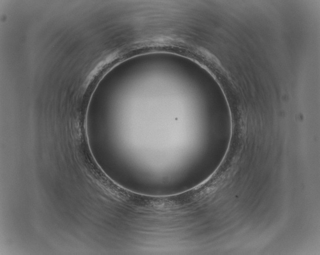 X0000073451218200608041019