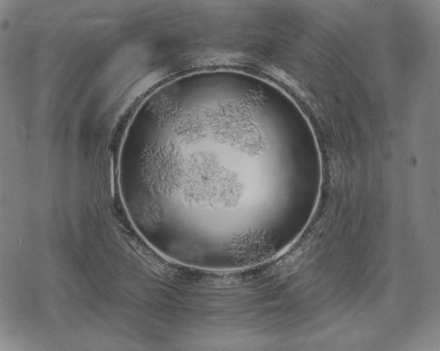 X0000073451219200608041019