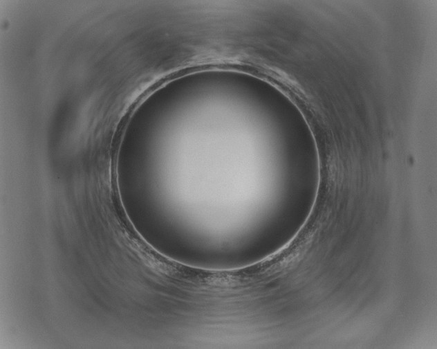 X0000073451220200608041019