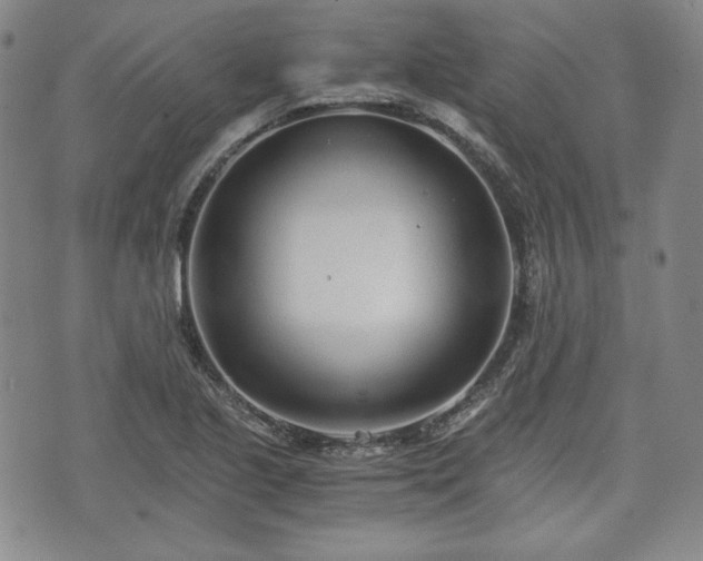 X0000073451221200608041019